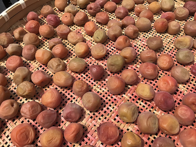 drying ume