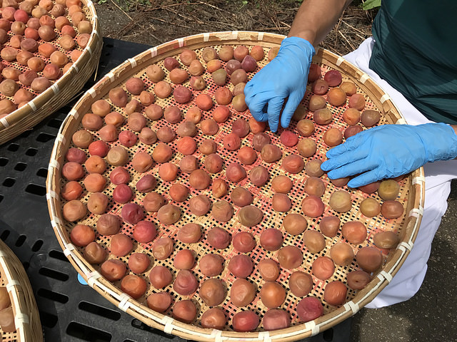 ume-drying